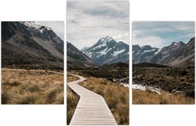 Tablou - Poteca în valea muntelui Mt. Cook (90x60 cm)
