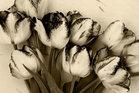 Tablou lalele de primăvară în design sepia