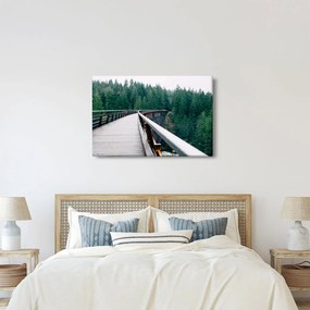 Tablou - Pod spre vârfurile copacilor (90x60 cm)