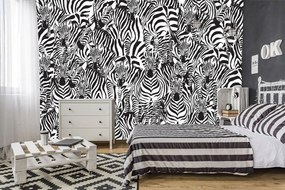 Fototapet - Zebra (254x184 cm)