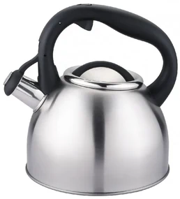 Ceainic Carl Schmidt Sohn Bonn, otel inoxidabil, 2 l