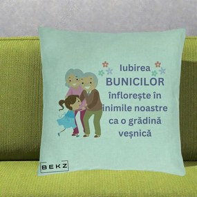 Cadou pentru Bunici - Perna Personalizata Bunicii Iubirea Infloreste Bunici cu Nepoata Colorat, 40x40 cm, Verde Menta, Husa Detasabila, Perna Inclusa, BEKZ®
