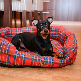 Culcuş pentru câine SCOTTY mărime M - 65 x 50 cm