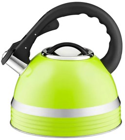 Ceainic inox 2.8L(3.5L), verde, Nemis