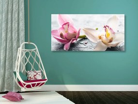 Tablou flori de orhidee