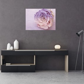 Tablou detaliu florii de trandafir (70x50 cm)