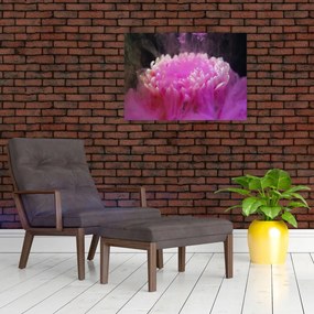 Tablou cu floare în fum roz (70x50 cm)