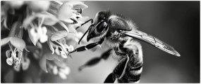 Tablou - Detaliu de albină (120x50 cm)