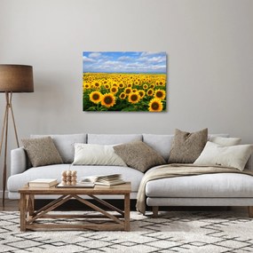 Tablou pe sticlă cu lan de floarea soarelui (70x50 cm)