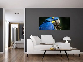 Tablou cu papagal (120x50 cm)