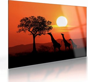 Tablou pe sticlă cu girafe în apus de soare (70x50 cm)