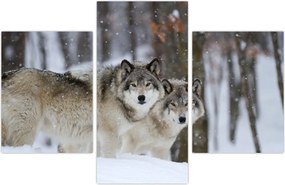 Tablou - Lupii în timpul iernii (90x60 cm)