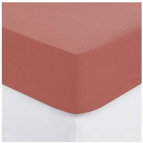 Cearsaf elastic Blush Red, bumbac, 160x200 cm