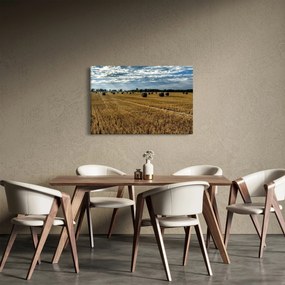 Tablou cu câmp recoltat (90x60 cm)