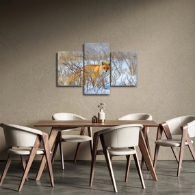 Tablou - Vulpe (90x60 cm)
