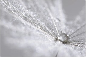 Tablou - Picătură de apă (90x60 cm)