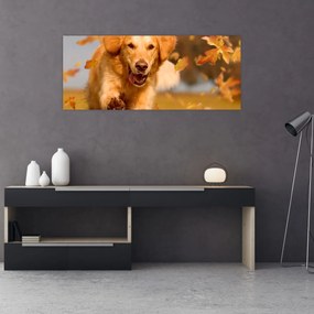 Tablou - Golden Retriever (120x50 cm)