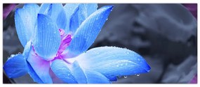 Tablou florilor în detailu (120x50 cm)