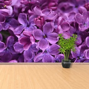 Fototapet Violet Flori