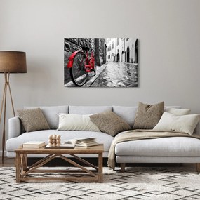 Tablou - Bicicleta roșie pe o stradă pavată (90x60 cm)