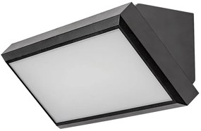 Aplica LED pentru iluminat exterior design modern IP54 Rapla negru