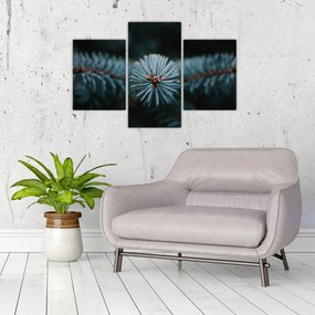 Tablou -Crenguțe ale unui conifer (90x60 cm)