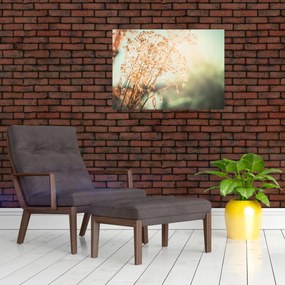 Tablou pe sticlă - Plante după ploaie (70x50 cm)