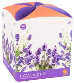 Lumânare parfumată Arome Lavender în sticlă, 90 g