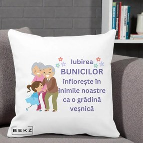 Cadou pentru Bunici - Perna Personalizata Bunicii Iubirea Infloreste Bunici cu Nepoata Colorat, 40x40 cm, Alba Mata, Husa Detasabila, Perna Inclusa, BEKZ®