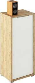 Dulap RIOMA TYP 10, stejar artisan/alb, DTD laminat, cu o usa, 50x38x1
