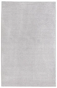 Covor Hanse Home Pure, 160x240 cm, gri deschis