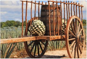 Tablou - Remorcă (90x60 cm)