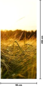 Fototapet pentru ușă - Iarba cu rouă (95x205cm)