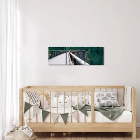 Tablou - Pod spre vârfurile copacilor (cu ceas) (90x30 cm)