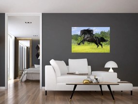 Tablou - Cal cu o coamă curgătoare (90x60 cm)