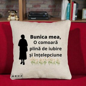 Cadou pentru Bunica - Perna Personalizata Bunica Mea Comoara Iubire Intelepciune Silueta cu Nepoata, 40x40 cm, Bej Canapea, Husa Detasabila, Perna Inclusa, BEKZ®