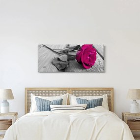 Tablou - Trandafir roz (120x50 cm)