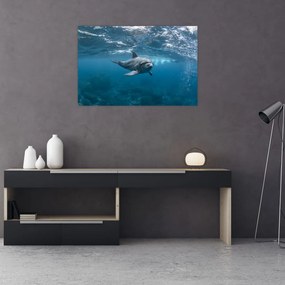 Tablou - Delfin sub apă (90x60 cm)