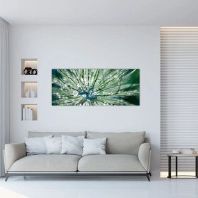 Tablou - Imagine macro a unei flori (120x50 cm)