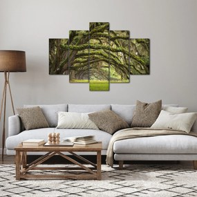 Tablou - Oaks Avenue, Charleston, Carolina de Sud, SUA (150x105 cm)