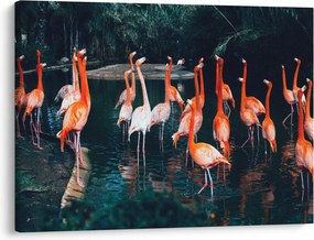 Tablou - turmă de flamingo (70x50 cm)