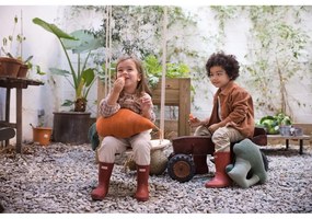 Pernă pentru copii Cathy the Carrot – Lorena Canals