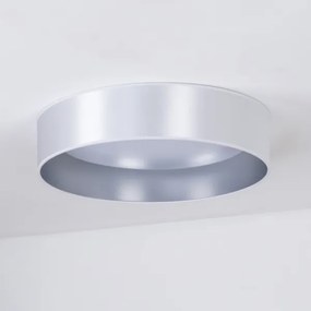 Plafonieră LED Duolla ROLLER LED/24W/230V d. 45 cm argintiu