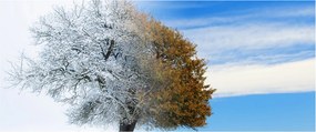 Tablou - Schimbarea anotimpurilor (120x50 cm)