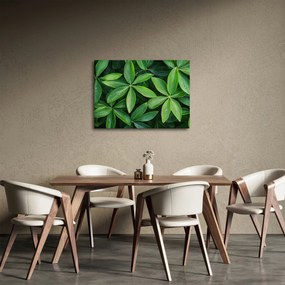 Tablou - Frunze cu picături de rouă (70x50 cm)