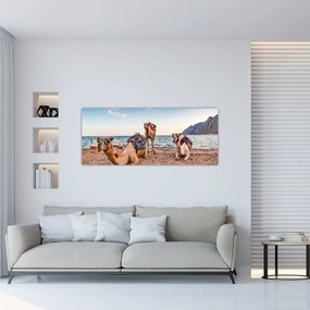 Tablou cu cămile (120x50 cm)