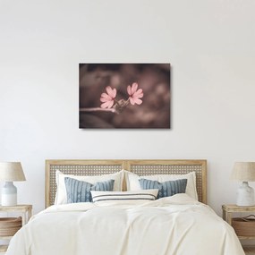 Tablou pe sticlă cu floare roz (70x50 cm)