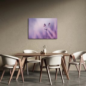 Tablou - Fluturi mov (70x50 cm)