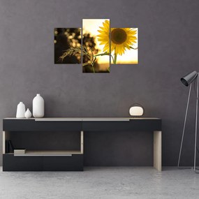 Tablou cu floarea soarelui (90x60 cm)