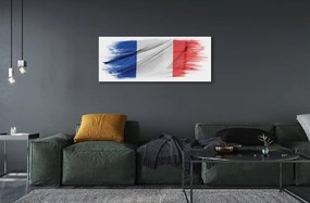Tablouri acrilice steagul Franței